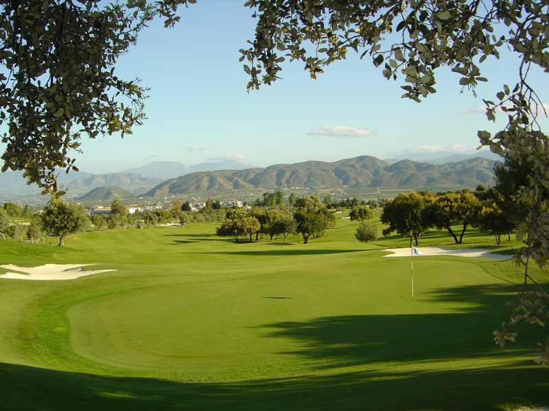 One of the beautiful greens at Lauro Golf