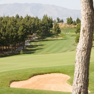 The El Chaparral Course