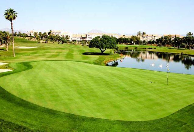 One of the greens at Alicante Golf with ducks swimming in the lake beside it.