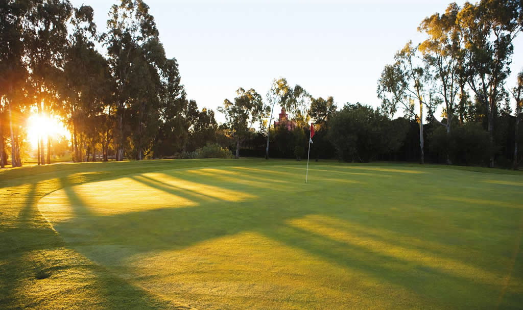 Atalaya New Golf Course Green