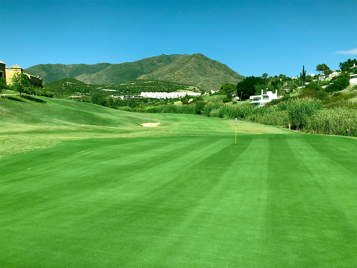 Azata Golf Course Green