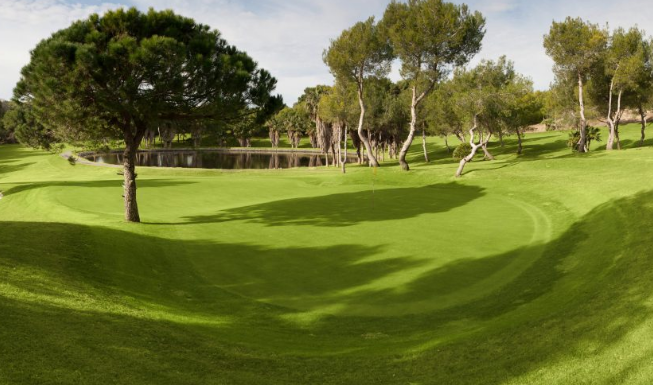 Las Ramblas Golf Green