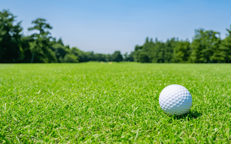 Golf ball on fairway